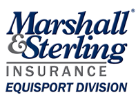 Marshall Sterling Equisport. 